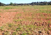 Terreno no urbanizable en venta en la España, Muro, ref: TR120143 foto