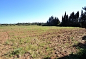 Terreno no urbanizable en venta en la España, Muro, ref: TR120143 foto