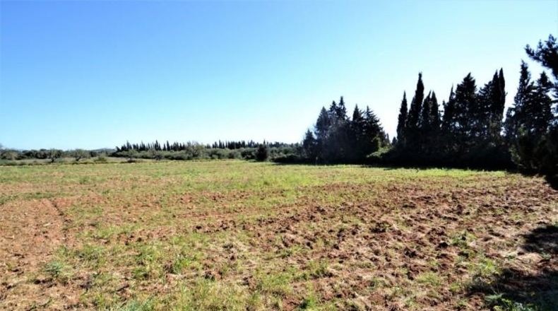 Balearic Islands - Muro - 11955m2