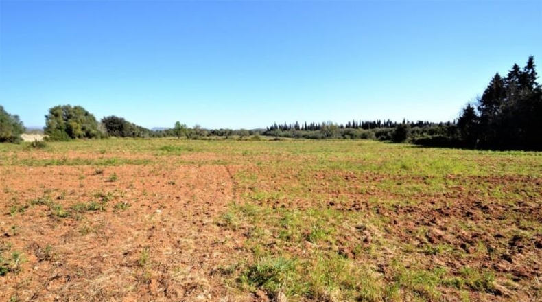 Balearic Islands - Muro - 11955m2