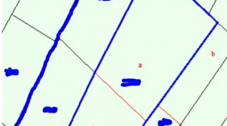 Balearic Islands - Muro - 11955m2