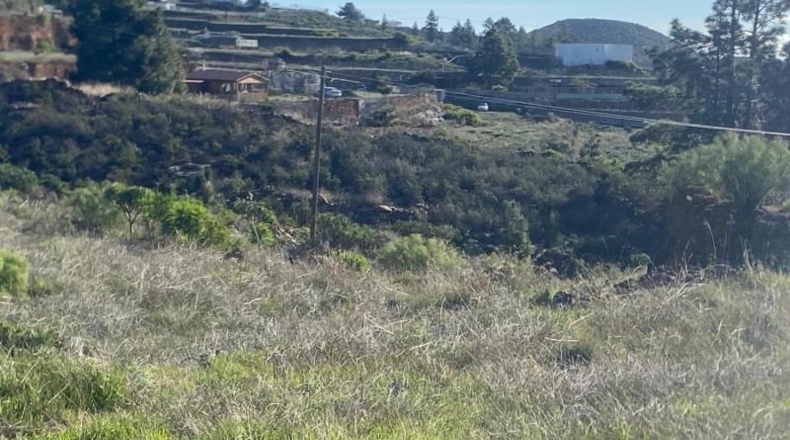 Santa Creu de Tenerife - Granadilla de Abona - 6889m2