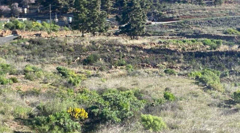 Santa Creu de Tenerife - Granadilla de Abona - 6889m2