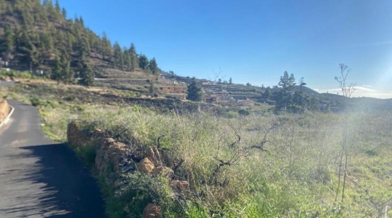 Santa Creu de Tenerife - Granadilla de Abona - 6889m2