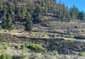 Non-developable land for sale on España, Granadilla de Abona, ref: TR407401 photo