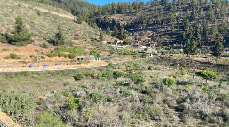 Santa Creu de Tenerife - Granadilla de Abona - 6889m2