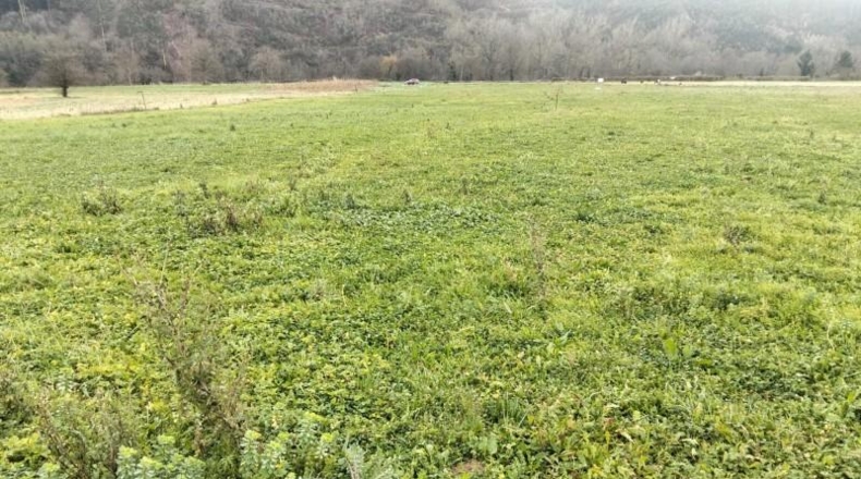 Cantabria - Cabezón de la Sal - 2837m2