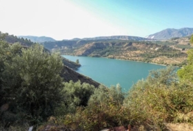 Pinos del Valle 12400&nbsp;m²