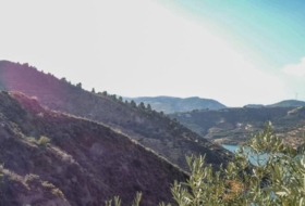 Pinos del Valle 12400&nbsp;m²