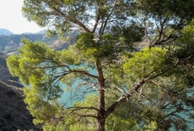 Pinos del Valle 12400&nbsp;m²
