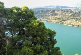 Pinos del Valle 12400&nbsp;m²
