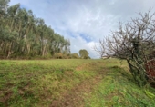 Finca rústica en venta en la España, Villaviciosa, ref: TR358418 foto
