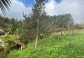 Finca rústica en venta en la España, Villaviciosa, ref: TR358418 foto