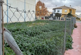 Foto 9