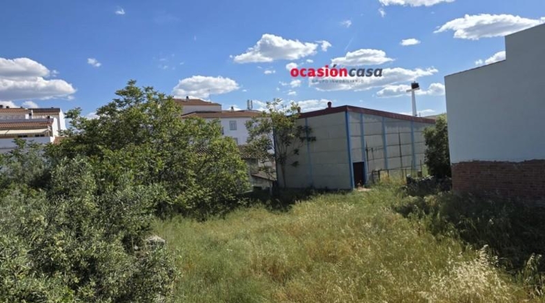 Córdoba - Pozoblanco - 221m2