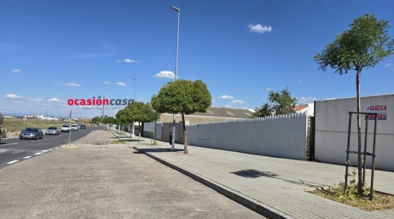 Córdoba - Pozoblanco - 221m2