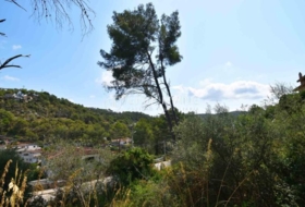 Olivella 921&nbsp;m²