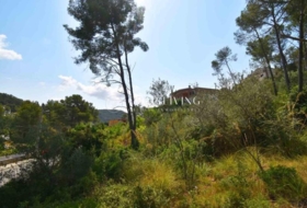 Olivella 921&nbsp;m²