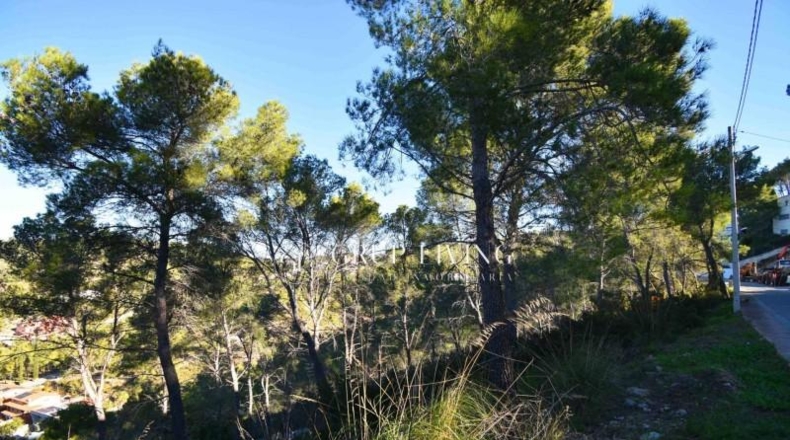 Barcelona - Olivella - 1282m2