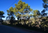 Suelo urbano en venta en la España, Olivella, ref: TR389093 foto