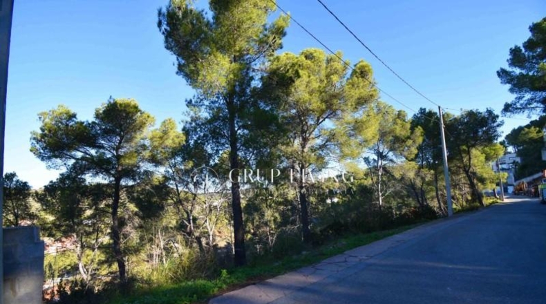 Barcelona - Olivella - 1282m2