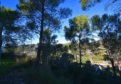 Suelo urbano en venta en la España, Olivella, ref: TR389093 foto