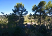 Suelo urbano en venta en la España, Olivella, ref: TR389093 foto