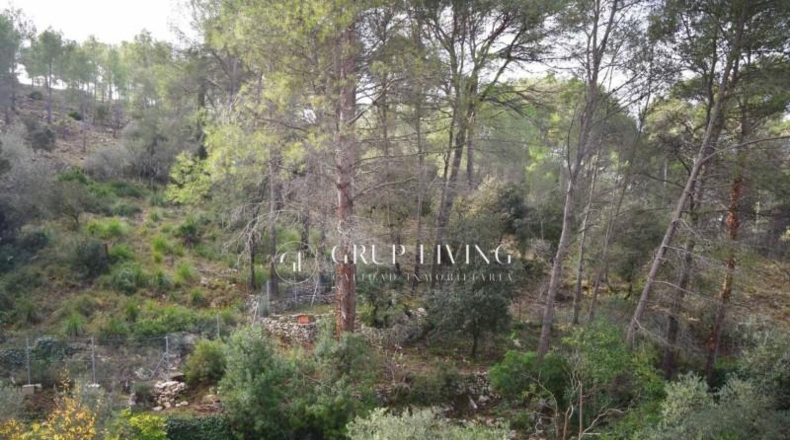 Barcelona - Olivella - 628m2