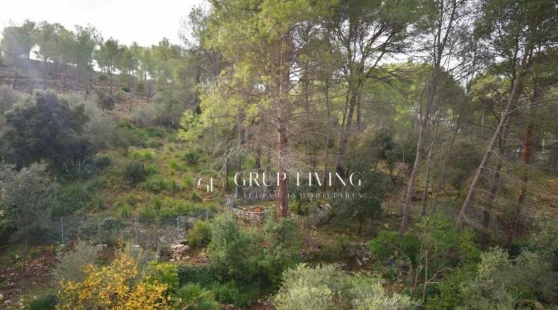 Barcelona - Olivella - 628m2