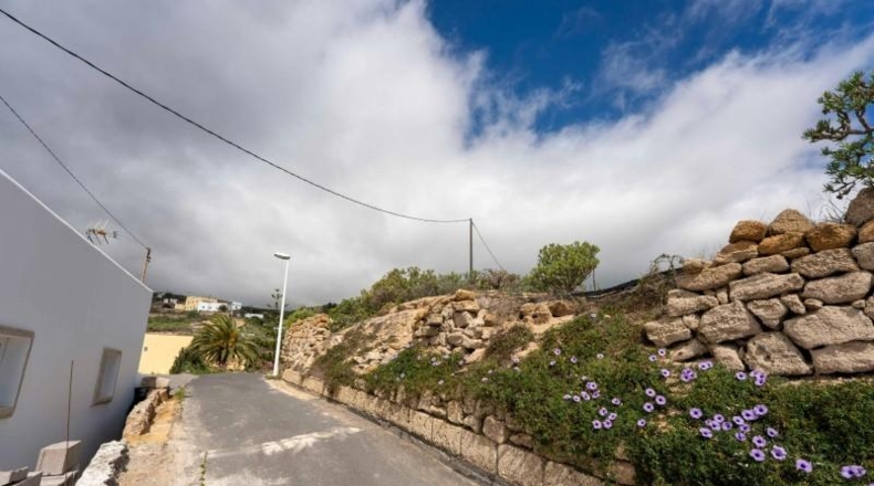 Santa Cruz de Tenerife - Fasnia - 2186m2