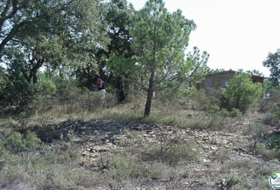 Foto 19