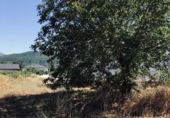 Finca rústica en venda a la España, Ponferrada, ref.: TR399416 foto