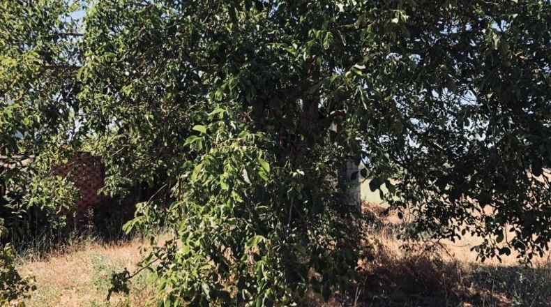 León - Ponferrada - 2743m2