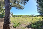 Parcela urbanizable en venta en la España, Bétera, ref: TR396558 foto