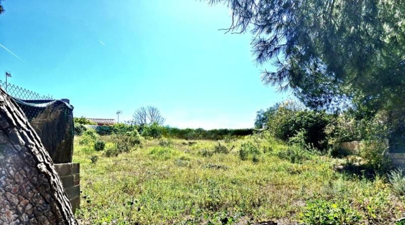 València - Bétera - 785m2