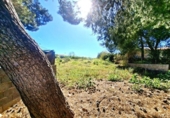 Parcela urbanizable en venta en la España, Bétera, ref: TR396558 foto