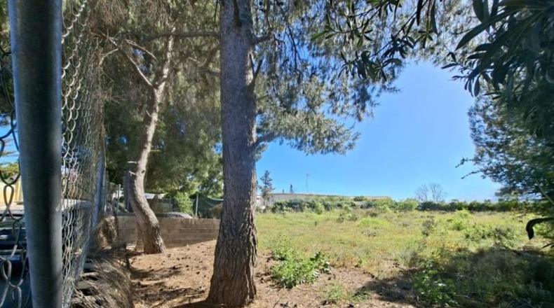 València - Bétera - 785m2