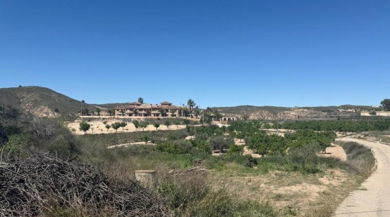 Murcia - Lorca - 4000m2
