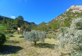 Prat de Comte 74666&nbsp;m²