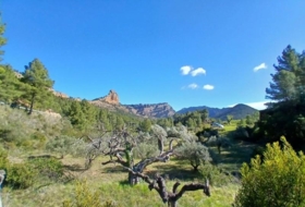 Prat de Comte 74666&nbsp;m²