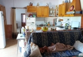 Casa de camp amb terreny en venda a la España, Còrdova, ref.: TR403858 foto