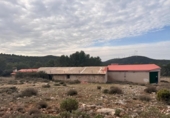Detached villa with land for sale on España, Andilla, ref: TR404103 photo