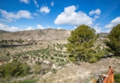 Casa de campo con terreno en venta en la España, Petrer, ref: TR409522 foto