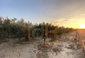 Huércal-Overa 5900&nbsp;m²