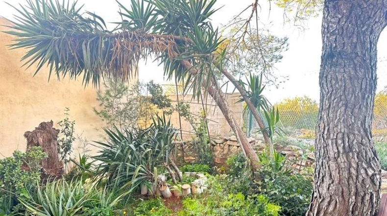 Tarragona - Amposta - 2490m2