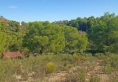 Parcela urbanizable en venta en la España, Totana, ref: TR366733 foto