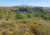 Parcela urbanizable en venta en la España, Totana, ref: TR366733 foto