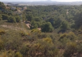 Parcela urbanizable en venta en la España, Totana, ref: TR366733 foto