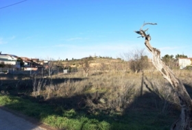 Valderrobres 1100&nbsp;m²