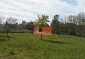 Terreno no urbanizable en venta en la España, Lugo, ref: TR114590 foto